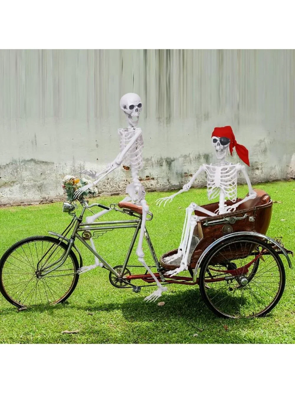 2 Pack Life-Size Posable Halloween Skeletons with Movable Joints for Decor